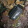JBL Floaty XL Blade (bis 25mm)