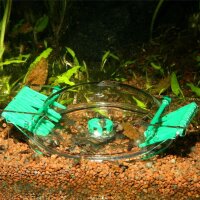 JBL LimCollect II Schneckenfalle