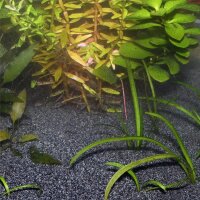 JBL Sansibar DARK 0,2- 0,6mm 5kg