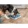 Trixie Dog Activity Poker Box, 31×10×31 cm, alte Version dunkelblau