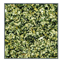 Dupla Marin Coral Food phyto 180ml/ 85g