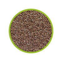 Hobby Artemia-Eier, 20 ml