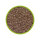 Hobby Artemia-Eier, 20 ml
