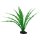 Hobby Crinum, 29 cm
