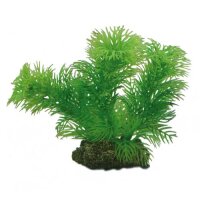 Hobby Egeria, 13 cm