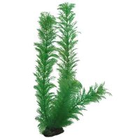 Hobby Egeria, 34 cm