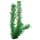 Hobby Egeria, 34 cm