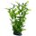 Hobby Hygrophila 20cm