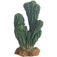 Hobby Kaktus "Victoria 1" (19cm)