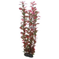Hobby Ludwigia, 34cm