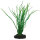 Hobby Sagittaria, 20 cm