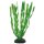 Hobby Vallisneria, 20 cm