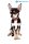 Aqua Coolkeeper Collar Red Western XXS 12 - 16cm