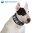 Aqua Coolkeeper Cooling Collar Scottish Grey 15 XXXL 60-70cm