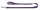 Hunter Führleine 10/110 violett
