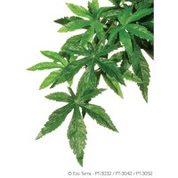 Exo Terra Abutilon, mittel