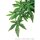 Exo Terra Abutilon, mittel