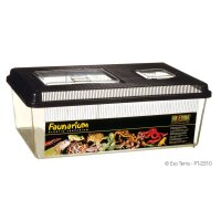 Exo Terra Faunarium, flach gross (460x300x180mm)