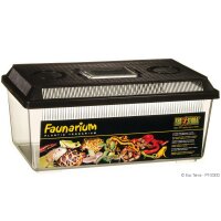 Exo Terra Faunarium, flach medium (360x210x160mm)