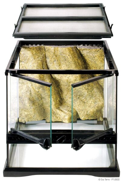 Exo Terra Glas Terrarium 30x30x30cm inkl. Rückwand
