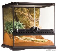 Exo Terra Glas Terrarium 30x30x30cm inkl. Rückwand