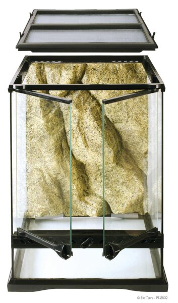 Exo Terra Glas Terrarium 30x30x45cm inkl. Rückwand