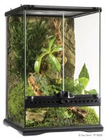 Exo Terra Glas Terrarium 30x30x45cm inkl. Rückwand