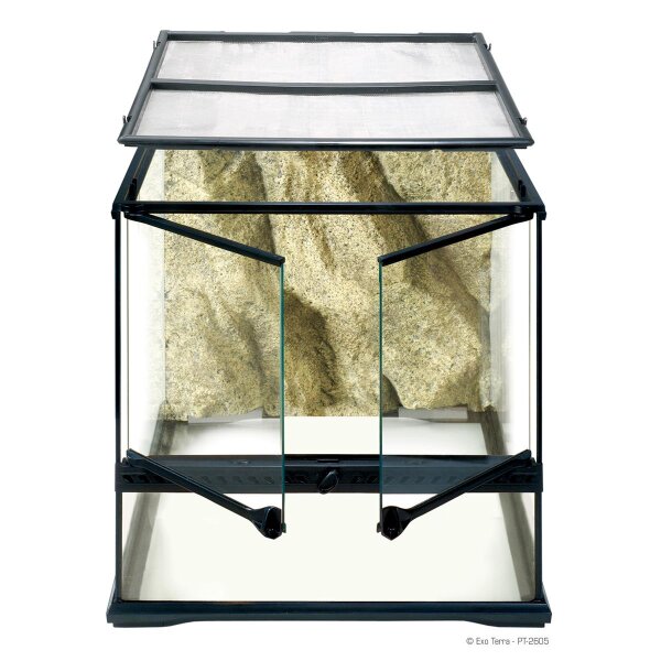 Exo Terra Glas Terrarium 45x45x45cm inkl. Rückwand