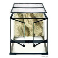 Exo Terra Glas Terrarium 45x45x45cm inkl. Rückwand