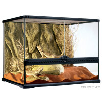 Exo Terra Glas Terrarium 60x45x45cm inkl Rückwand