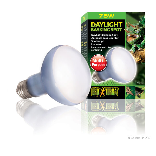 Exo Terra Neodymium Tageslichtlampe "Sun Glo" Spot R20/75W