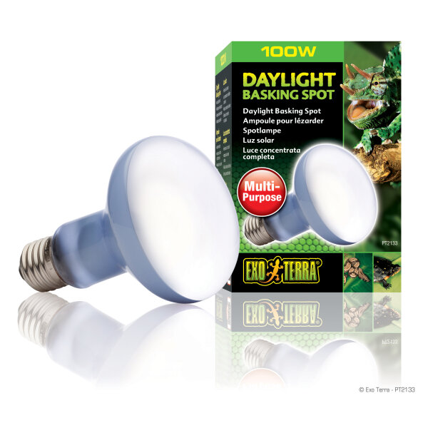 Exo Terra Neodymium Tageslichtlampe "Sun Glo" Spot R25/100W