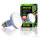 Exo Terra Neodymium Tageslichtlampe "Sun Glo" Spot R25/100W