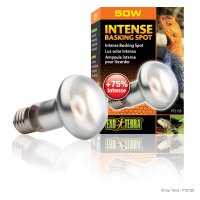 Exo Terra Intense Basking Spot R20/50W