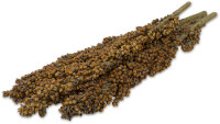JR FARM Dari- Kolben Nager 100g