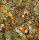 JR FARM Feldkräuter 200g