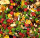 JR FARM Früchte- Traum 200g