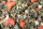 JR FARM Grainless Mix Meerschweinchen 650g
