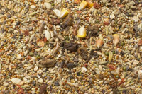 JR FARM Hamster- Schmaus 600g