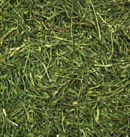 JR FARM Petersilienstiele 150g