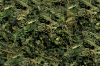 JR FARM Brennessel 80 g