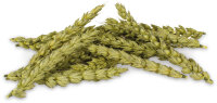 JR FARM Knabber- Ähren 30g