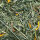 JR FARM Kornfeld 100g