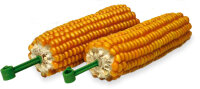 JR FARM Mais- Kolben 200g (2 Stück)
