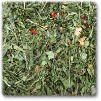 JR FARM Rucola & Tomate 100g