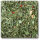 JR FARM Rucola & Tomate 100g