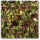 JR FARM Sonnenhut & Luzerne-Klee 100g