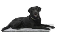Trilus Vet Bett rutschfest 102x76cm