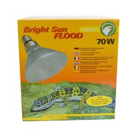 Lucky Reptile Bright Sun Flood Desert 70W