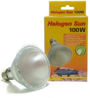Lucky Reptile Halogen Sun 100W für E-27 Fassung